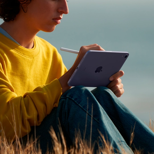 iPad mini 6, 64 ГБ, Wi-Fi, Розовый купить: цена MLWL3RK/A 