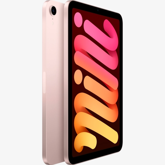 iPad mini 6, 256 GB, Wi-Fi, Pink purchase: price MLWR3RK/A