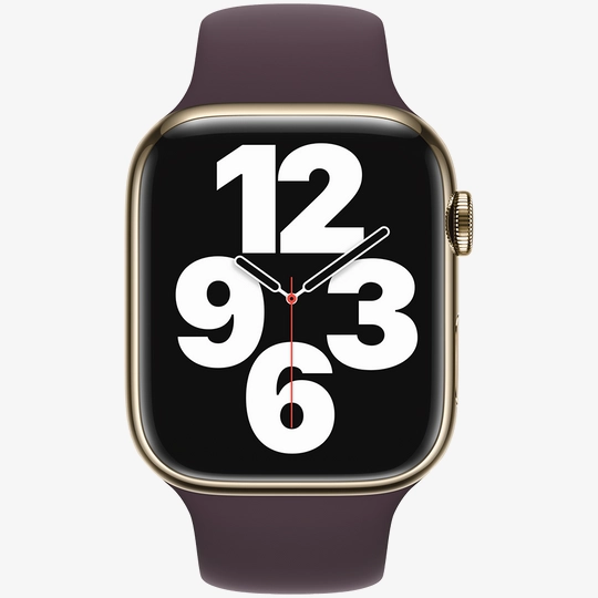 45mm dark cherry sport band regular clearance