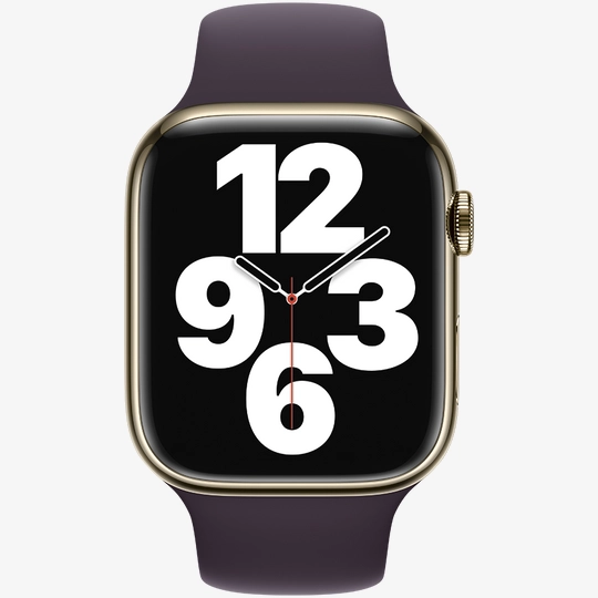 45mm elderberry sport band Clearance